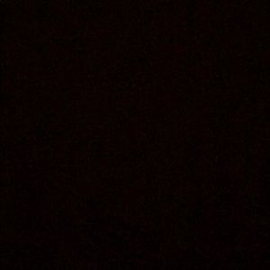 Meet your Posher, Bobby